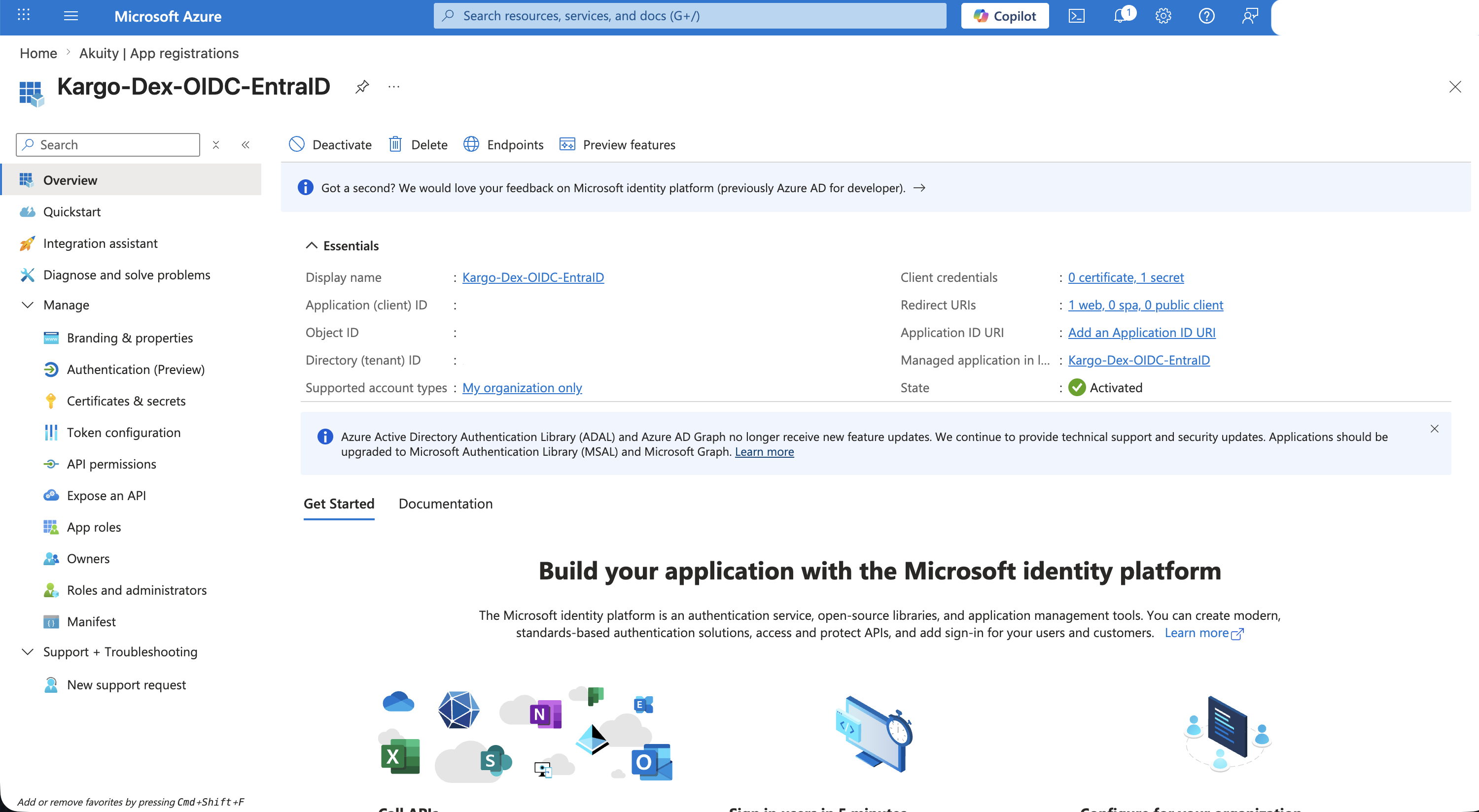 Application overview showing client and tenant IDs