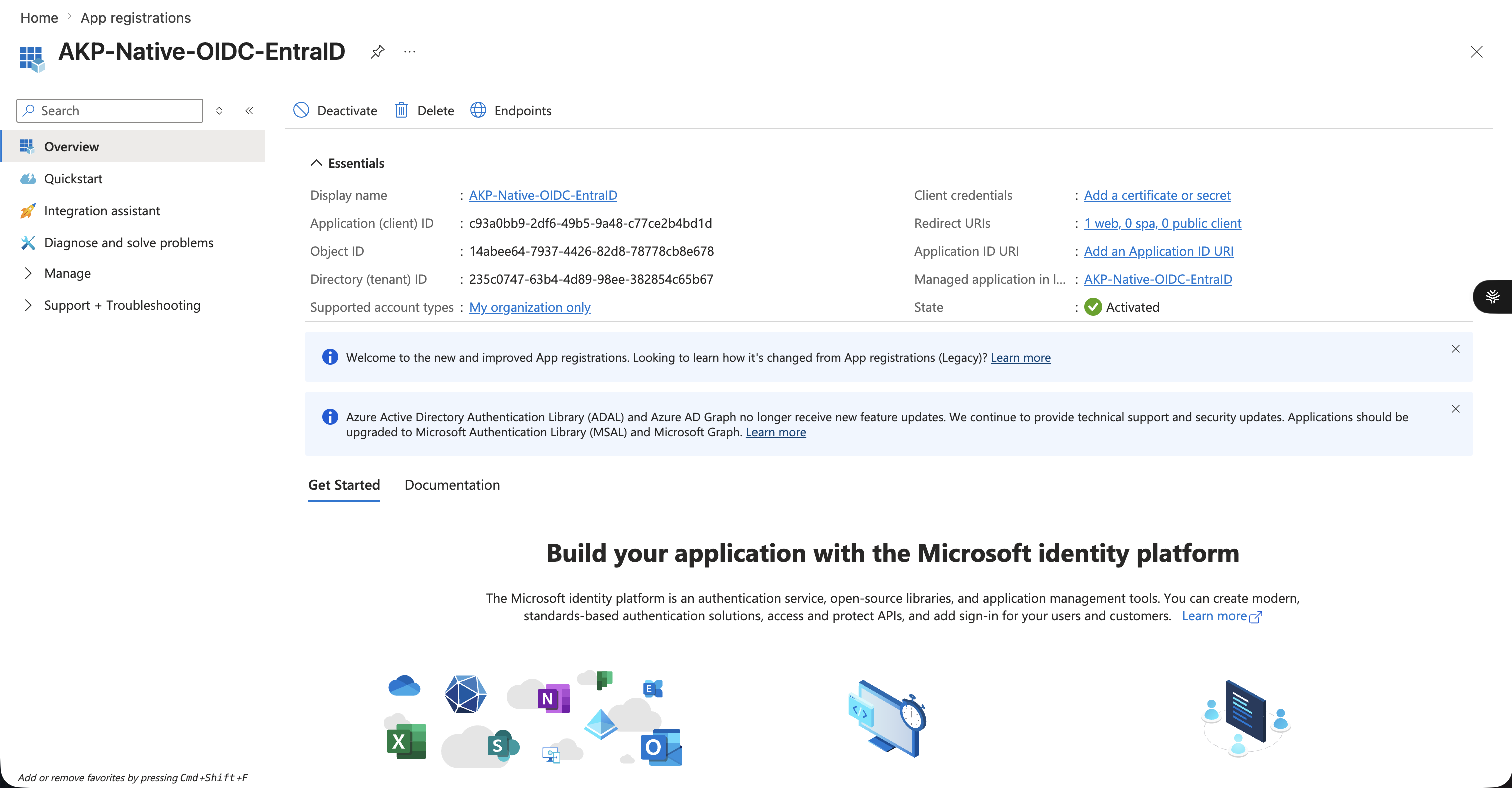 Application overview showing client and tenant IDs